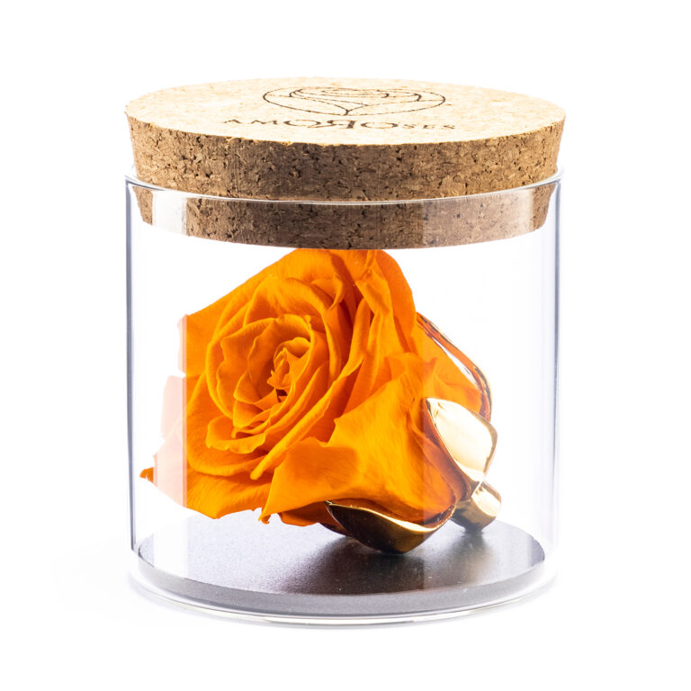 Amoroses BIJOU - Rosa Arancione Rosa Stabilizzata Eterna con calice placcato oro 24K in barattolo di vetro