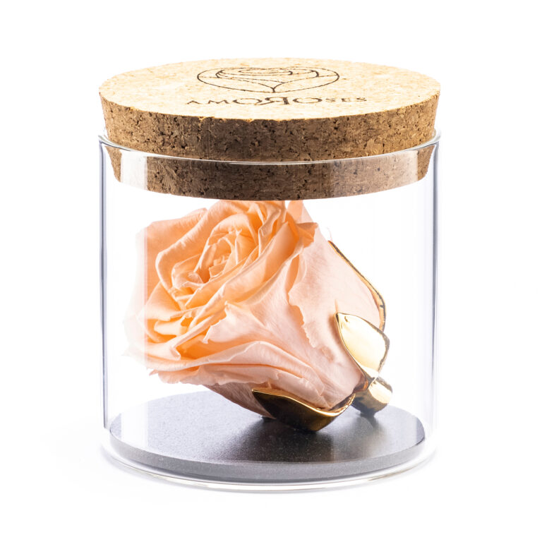 Amoroses BIJOU - Rosa Rosa Pesca Stabilizzata Eterna con calice placcato oro 24K in barattolo di vetro