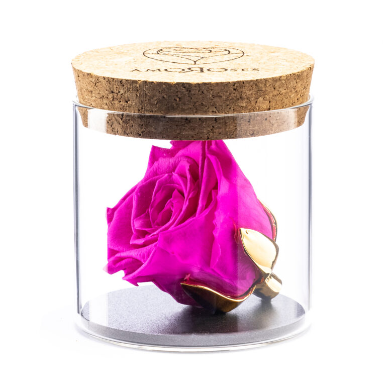 Amoroses BIJOU - Rosa Rosa Shocking Stabilizzata Eterna con calice placcato oro 24K in barattolo di vetro