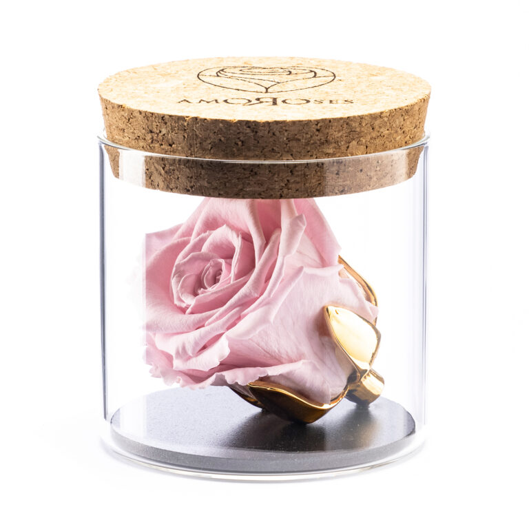 Amoroses BIJOU - Rosa Rosa Stabilizzata Eterna con calice placcato oro 24K in barattolo di vetro