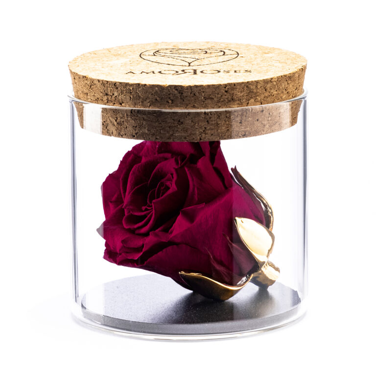 Amoroses BIJOU - Rosa Rosso Rubino Stabilizzata Eterna con calice placcato oro 24K in barattolo di vetro