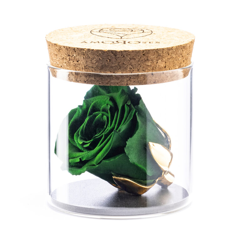 Amoroses BIJOU - Rosa Verde Foresta Stabilizzata Eterna con calice placcato oro 24K in barattolo di vetro
