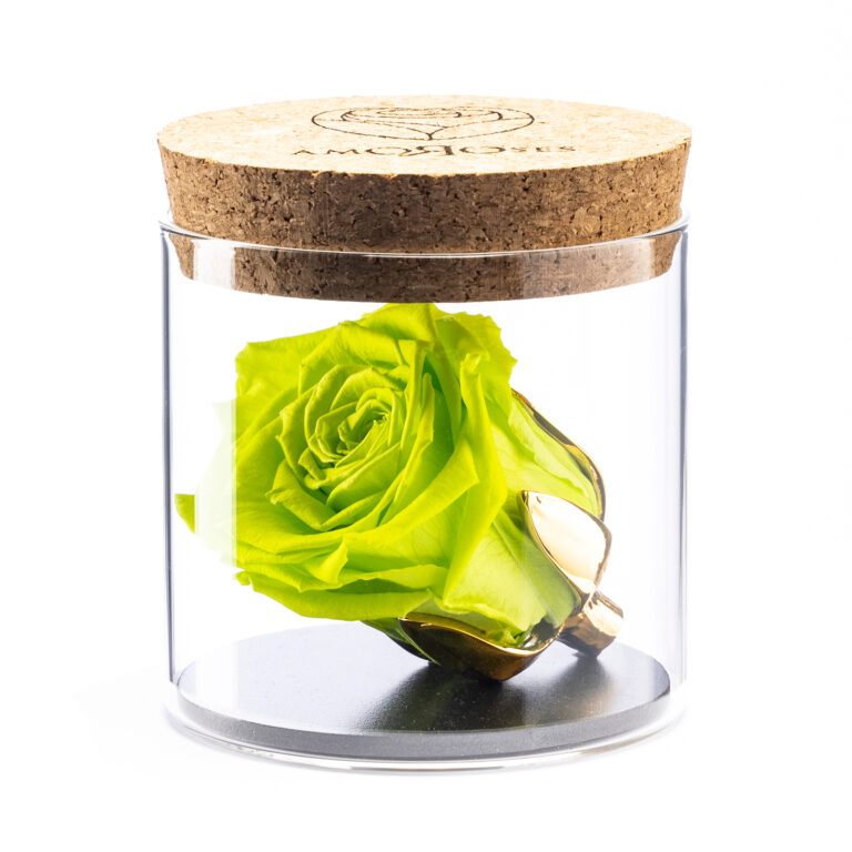 Amoroses BIJOU - Rosa Verde Mela Stabilizzata Eterna con calice placcato oro 24K in barattolo di vetro