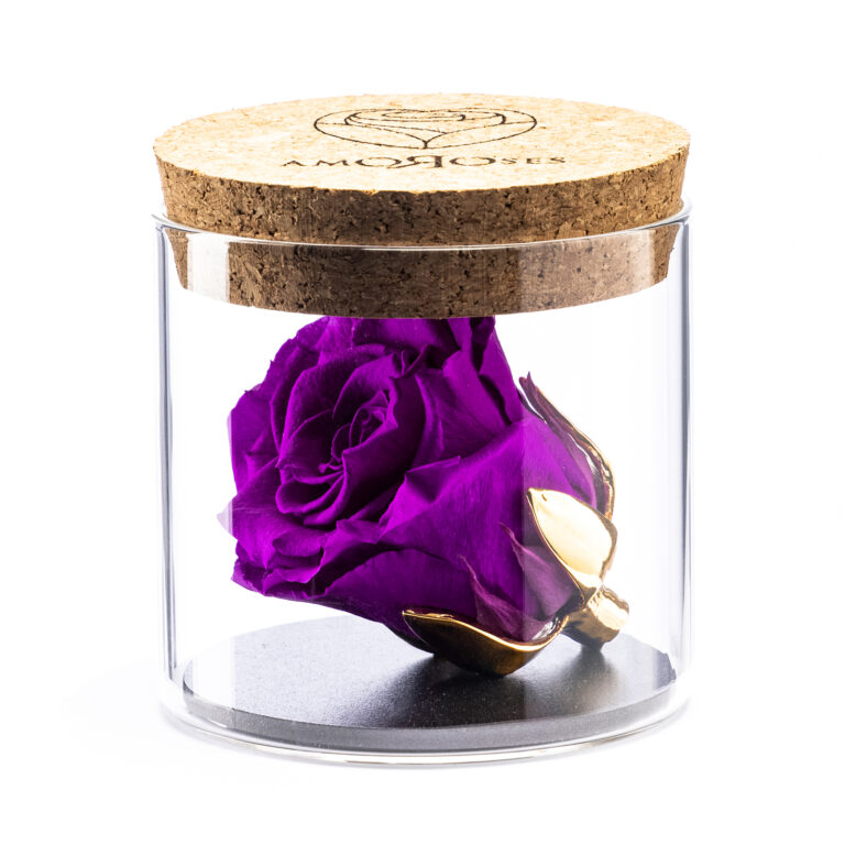 Amoroses BIJOU - Rosa Viola Stabilizzata Eterna con calice placcato oro 24K in barattolo di vetro