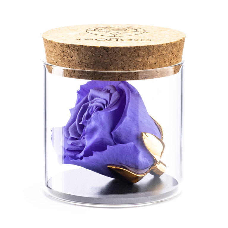 Amoroses BIJOU - Rosa Violetto Stabilizzata Eterna con calice placcato oro 24K in barattolo di vetro