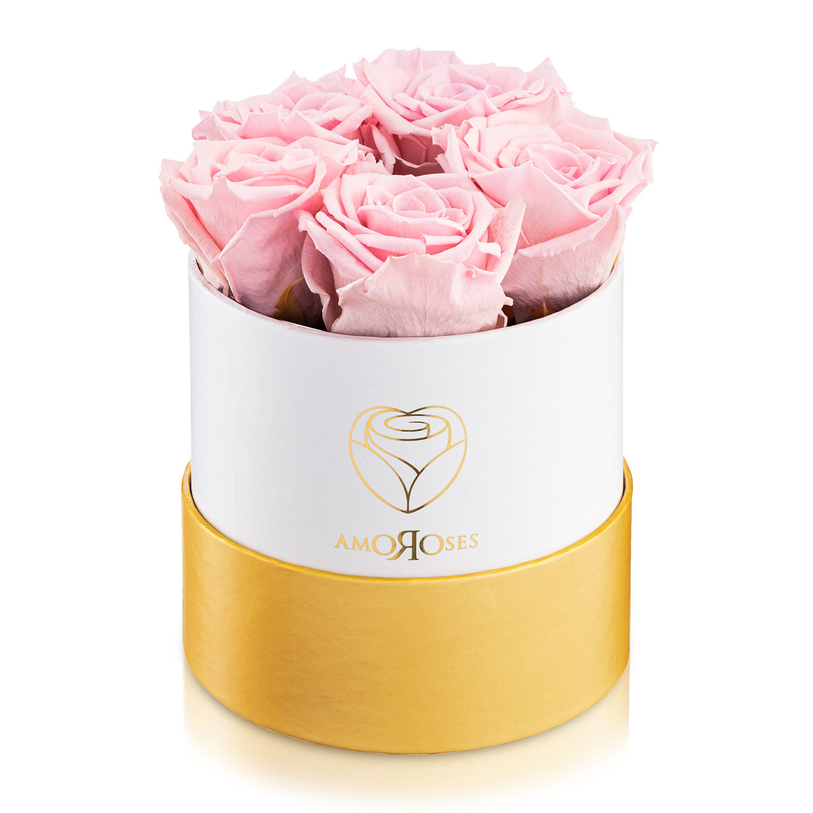 Amoroses PETITE - Scatola bianca con 5 rose rosa stabilizzate