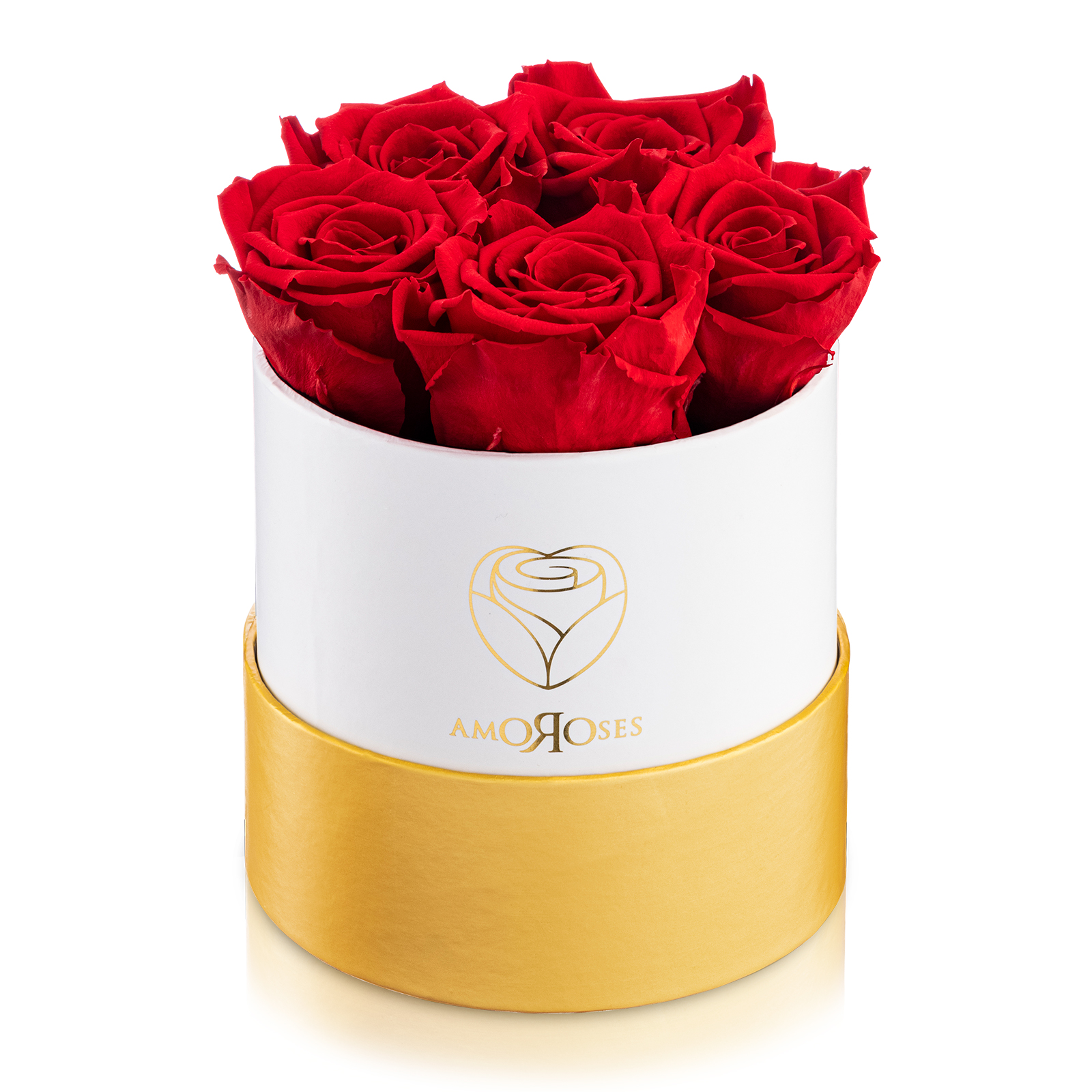 Amoroses PETITE - Scatola bianca con 5 rose rosse stabilizzate