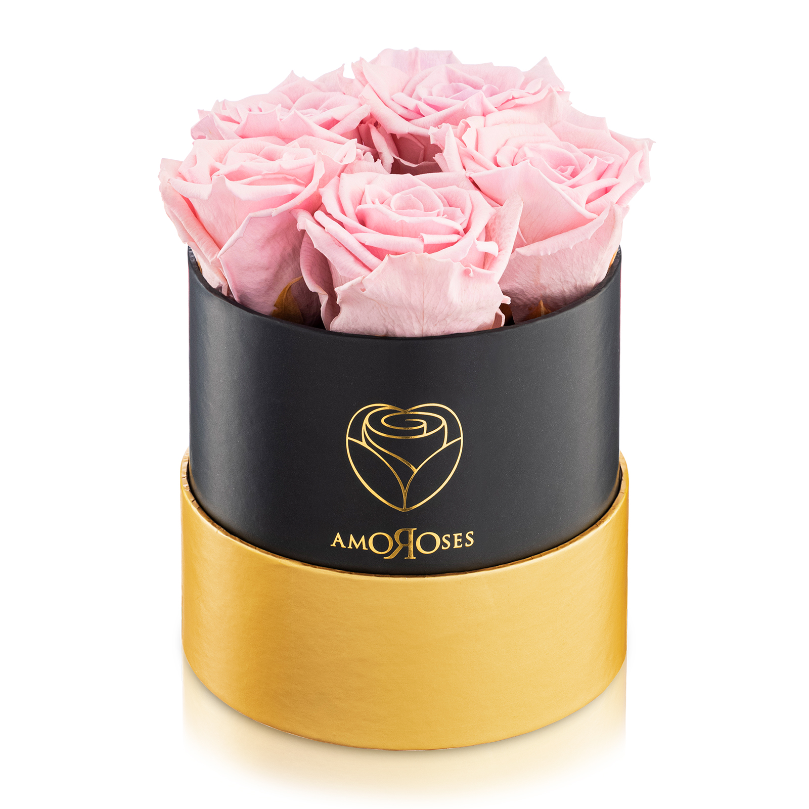 Amoroses PETITE - Scatola nera con 5 rose rosa stabilizzate