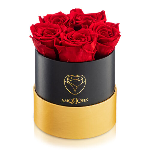 Amoroses PETITE - Scatola nera con 5 rose rosse stabilizzate