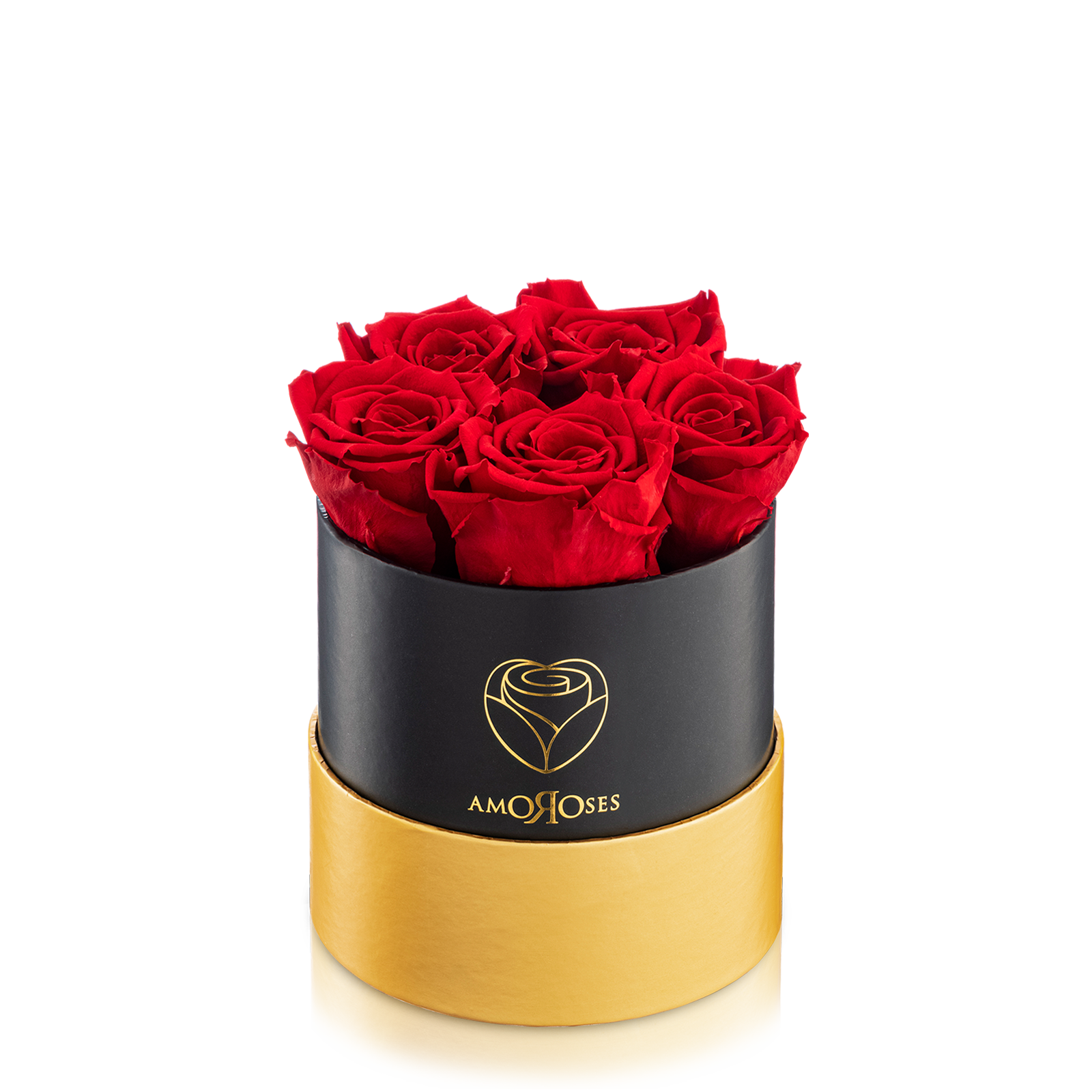 Amoroses PETITE - Scatola nera con 5 rose rosse stabilizzate