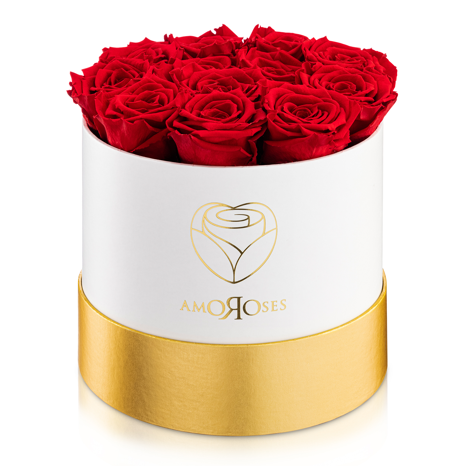 Amoroses PRESTIGE - Scatola bianca con 12 rose rosse stabilizzate