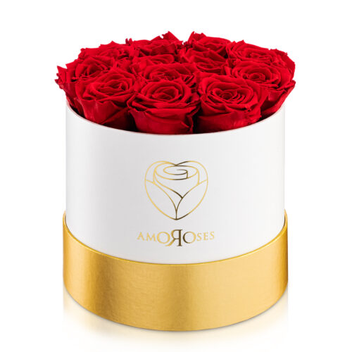 Amoroses PRESTIGE - Scatola bianca con 12 rose rosse stabilizzate