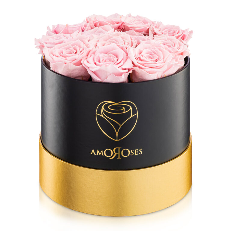 Amoroses PRESTIGE - Scatola nera con 12 rose rosa stabilizzate